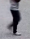 1658102303693.png