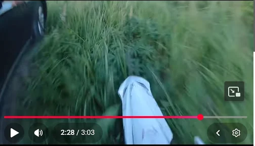 1786369155158.webp