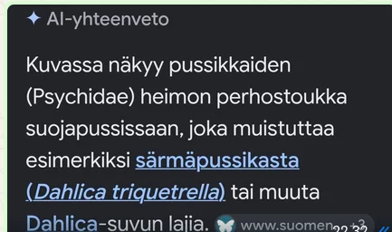 1791142596934.webp