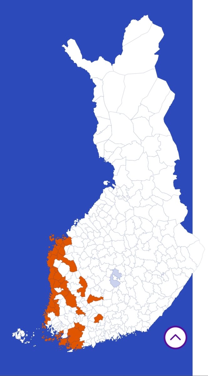 65623.jpg
