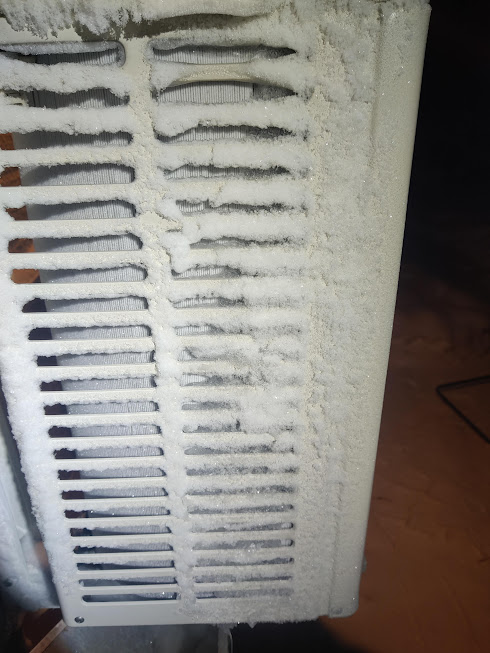 ilpin pää jäässä.jpg