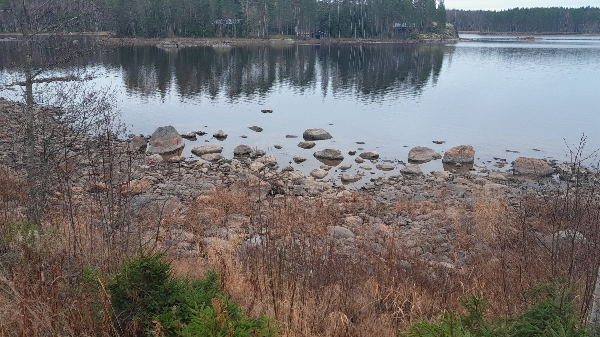 IMG-20251107-WA0030.jpeg
