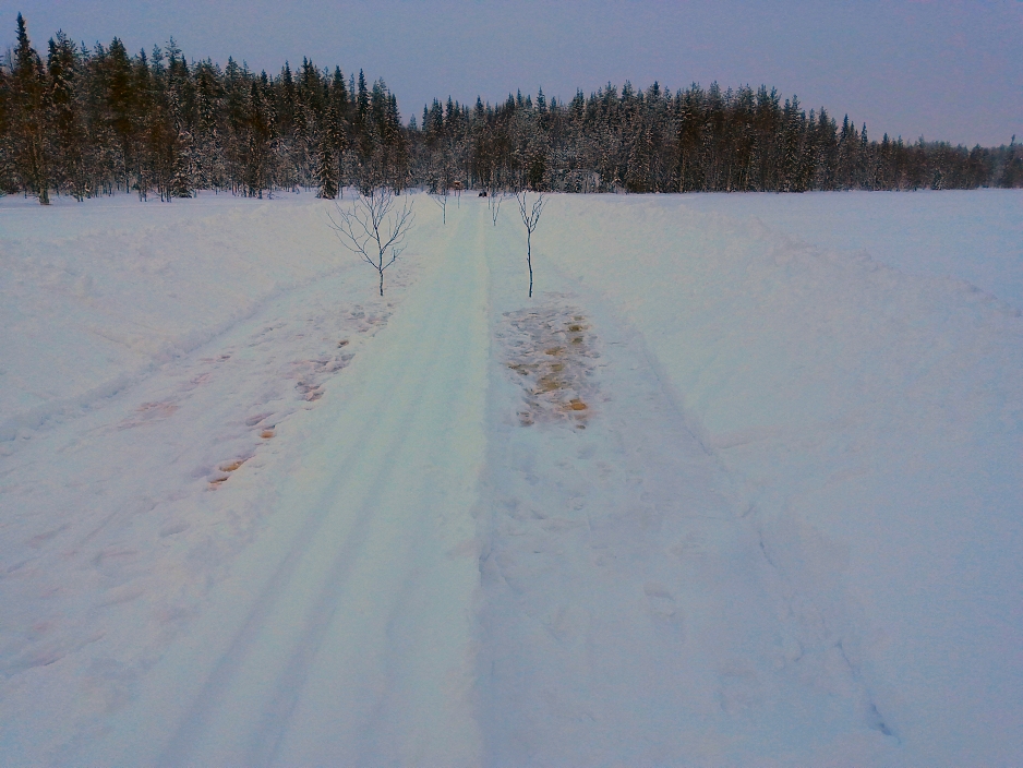 IMG_20220216_095722 b.jpg