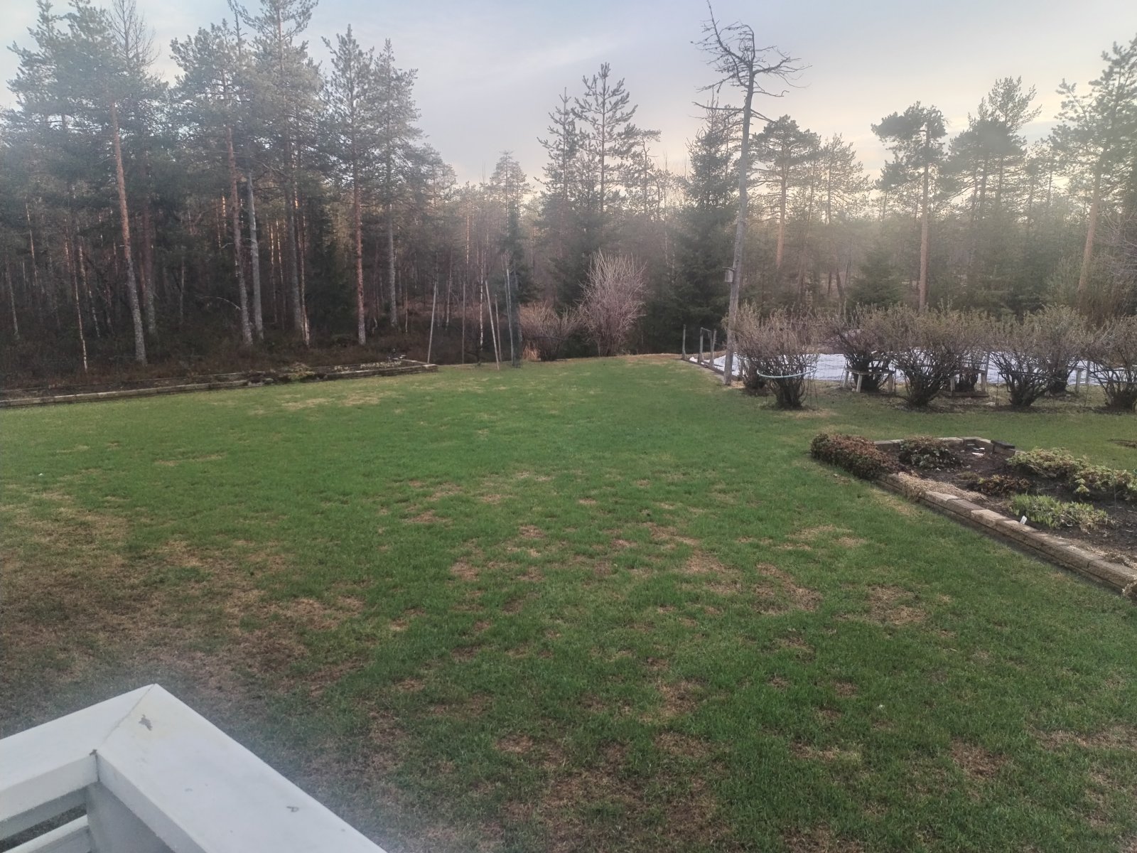 IMG_20260512_213949.jpg