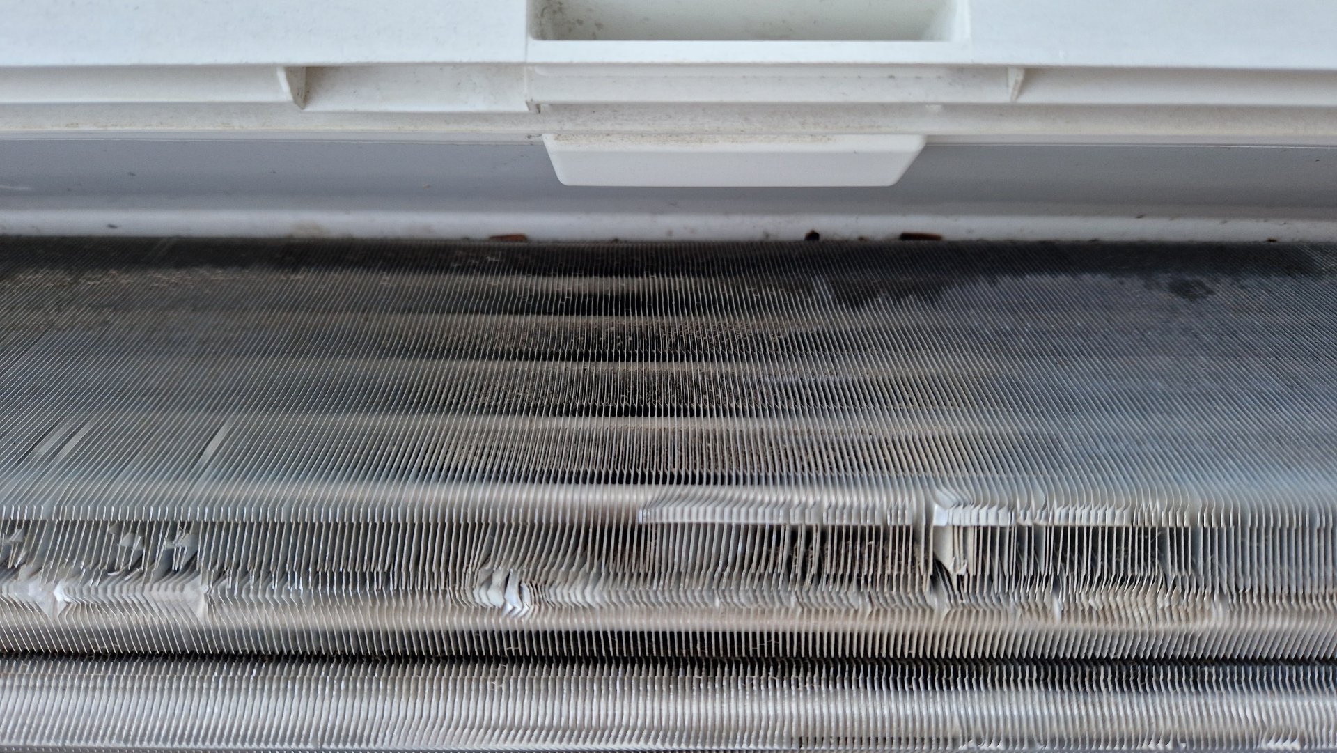 kennon takaosa höyrypesun jälkeen.jpg