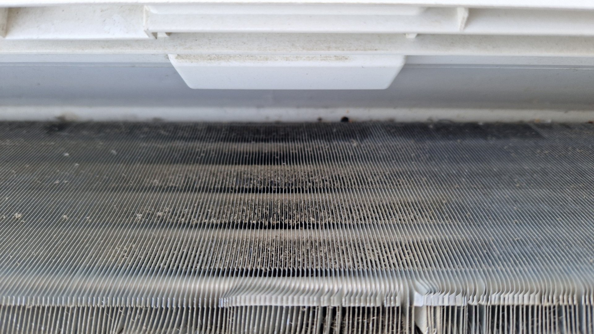 kennon takaosa imuroinnin jälkeen.jpg