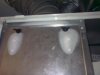 29012010064.jpg