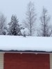 IMG_2963.jpg