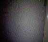 photostudio_1549557026619.jpg