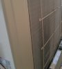 20190313_065608.jpg