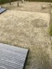 8CECAE6C-D4C4-40C1-B06E-C1EA4B409E0D.jpeg