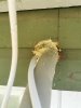 IMG_20190710_100341.jpg