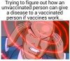 FB_IMG_1584697181992.jpg