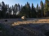 IMG_20200501_073948.jpg