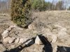 IMG_20200501_113703.jpg