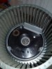 20200606_095616.jpg
