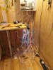 IMG_20200724_073725.jpg