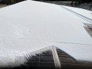 IMG_20201121_092401.jpg
