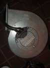 20201115_102839.jpg