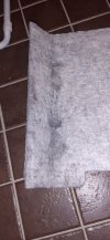 20201231_110344.jpg