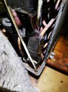 IMG_20210205_080548.jpg
