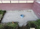 IMG_20200712_130315.jpg