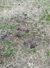 IMG_20210508_110329.jpg