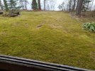 IMG_20210510_163206.jpg