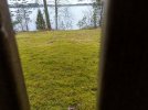 IMG_20210510_163227.jpg