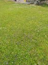 IMG_20210626_165309.jpg