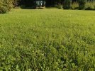 IMG_20210726_174814.jpg