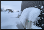 Screenshot_20220115-020314~2.png
