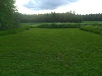 IMG_20220621_204826.jpg