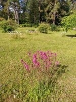 IMG_20230623_092715.jpg