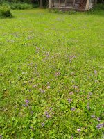 IMG_20230702_134348.jpg