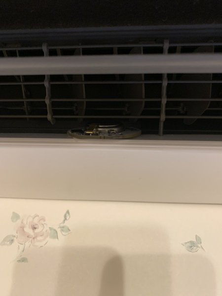 IMG_2984.jpeg