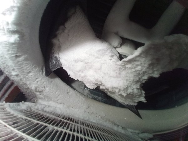 2023-12-06 08.44.52.jpg