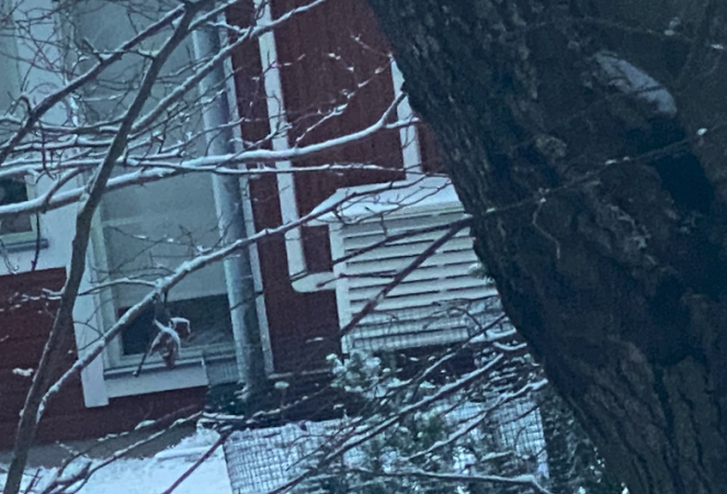 Screenshot 2024-12-03 at 15.20.34.png