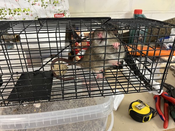 2024-12-13 16.23.04.jpg