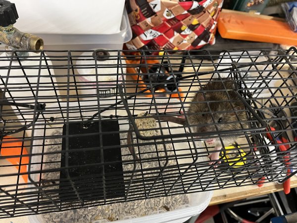 2024-12-13 16.23.15.jpg