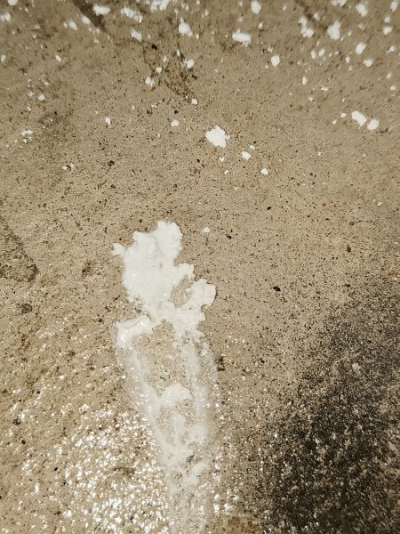 IMG20250219120617.jpg