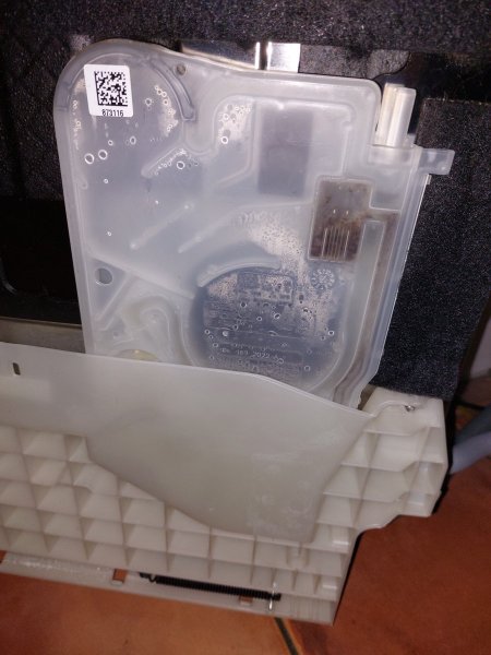 20250423_201309.jpg