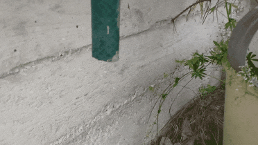 GIF_20250714_180900_049.gif