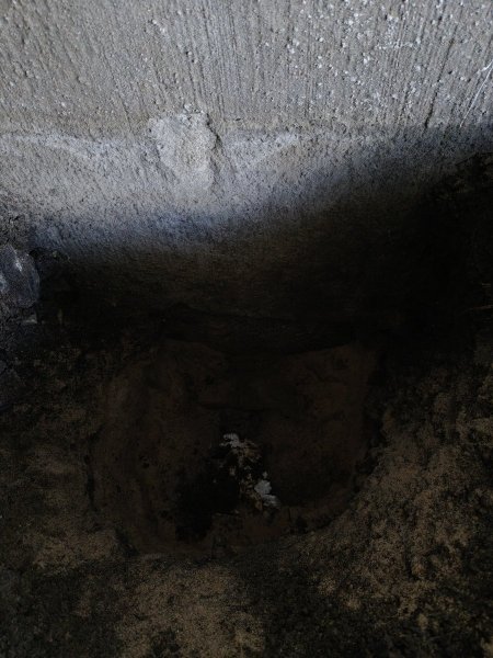 IMG20250829162657.jpg