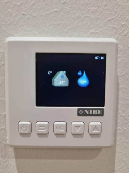 shared image (1).jpg