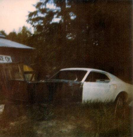 Polaroid mussukasta jonka sain myyjältä.jpg Polaroid mussukasta jonka sain myyjältä.jpg