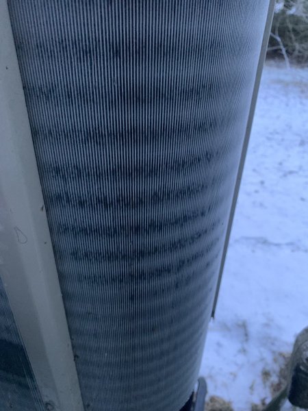IMG_6854.jpeg