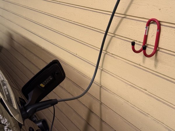 IMG_5953.jpeg IMG_5953.jpeg