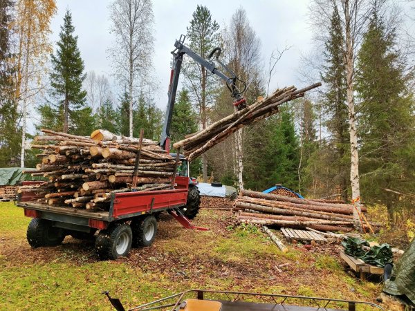 Vaahtiahon ja vanhan urkan rankasavottaa 10.2025 (7).jpg