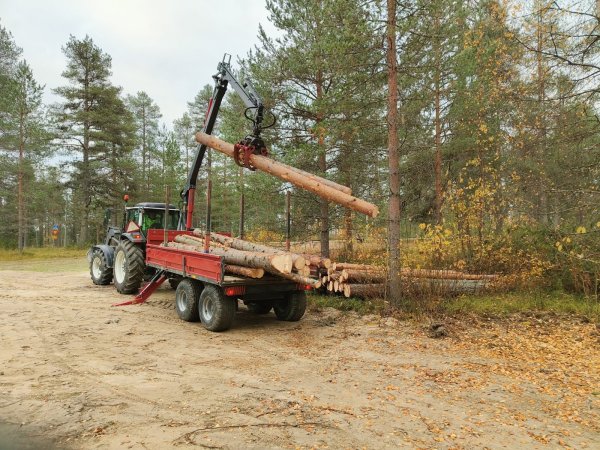 Vaahtiahon ja vanhan urkan rankasavottaa 10.2025 (4).jpg